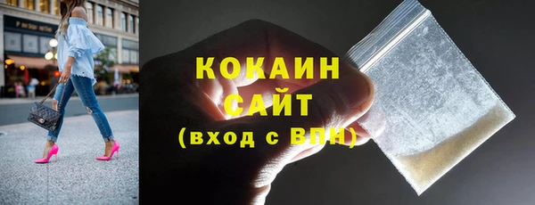 твердый Дмитровск