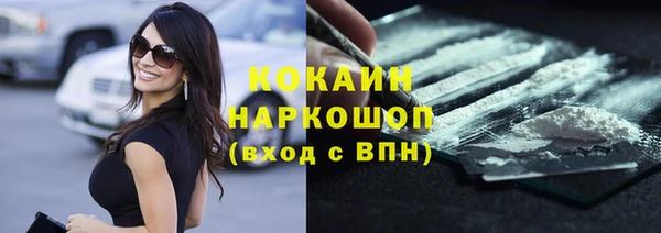 твердый Дмитровск