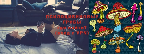 твердый Дмитровск
