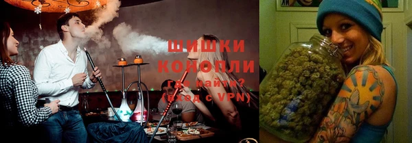 твердый Дмитровск
