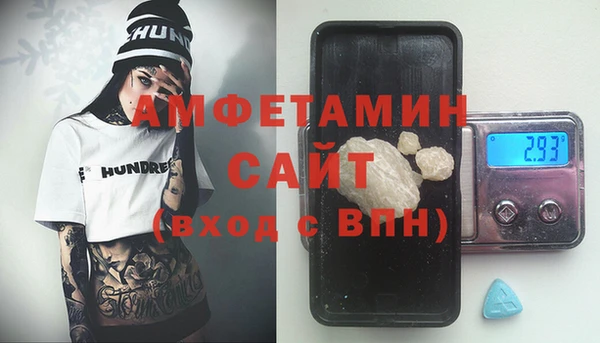 твердый Дмитровск