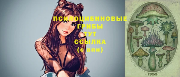 твердый Дмитровск