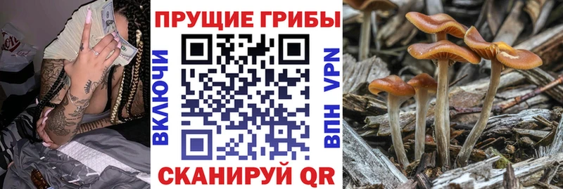 Галлюциногенные грибы MAGIC MUSHROOMS  где найти   Березники 
